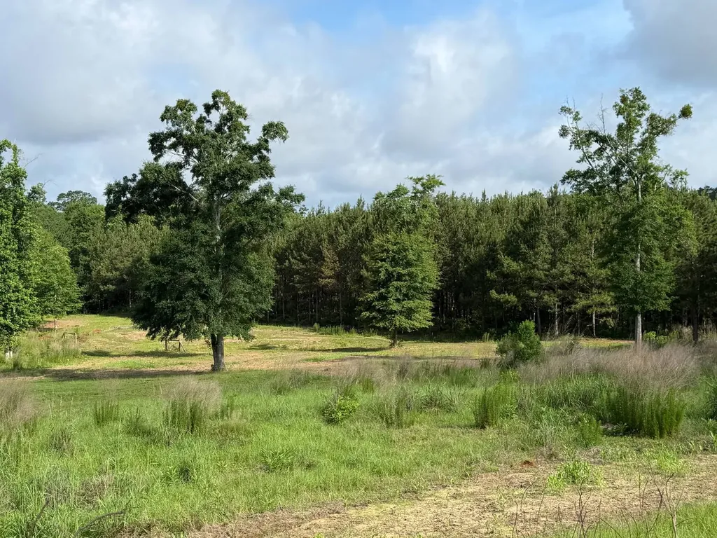 0 E. Dogwood Trail Georgiana AL 36037
