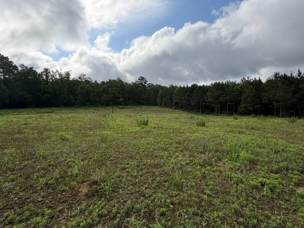 0 E. Dogwood Trail Georgiana AL 36037