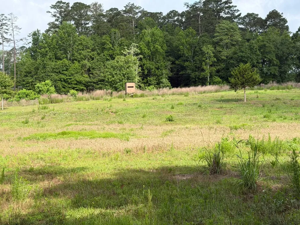 0 E. Dogwood Trail Georgiana AL 36037
