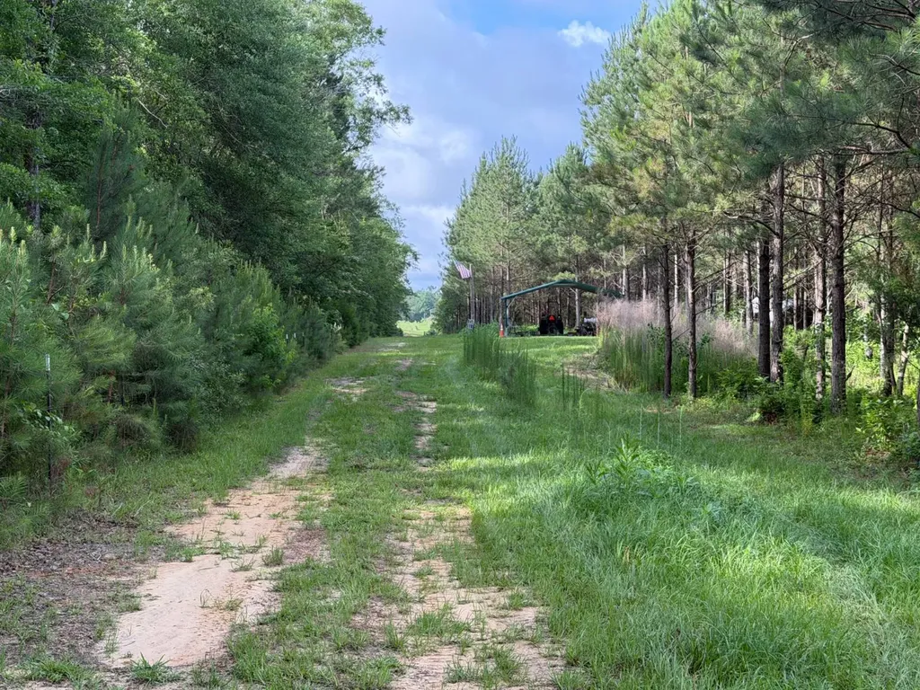 0 E. Dogwood Trail Georgiana AL 36037