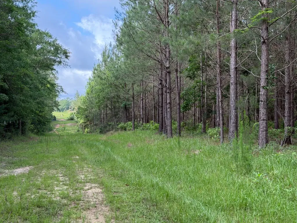 0 E. Dogwood Trail Georgiana AL 36037
