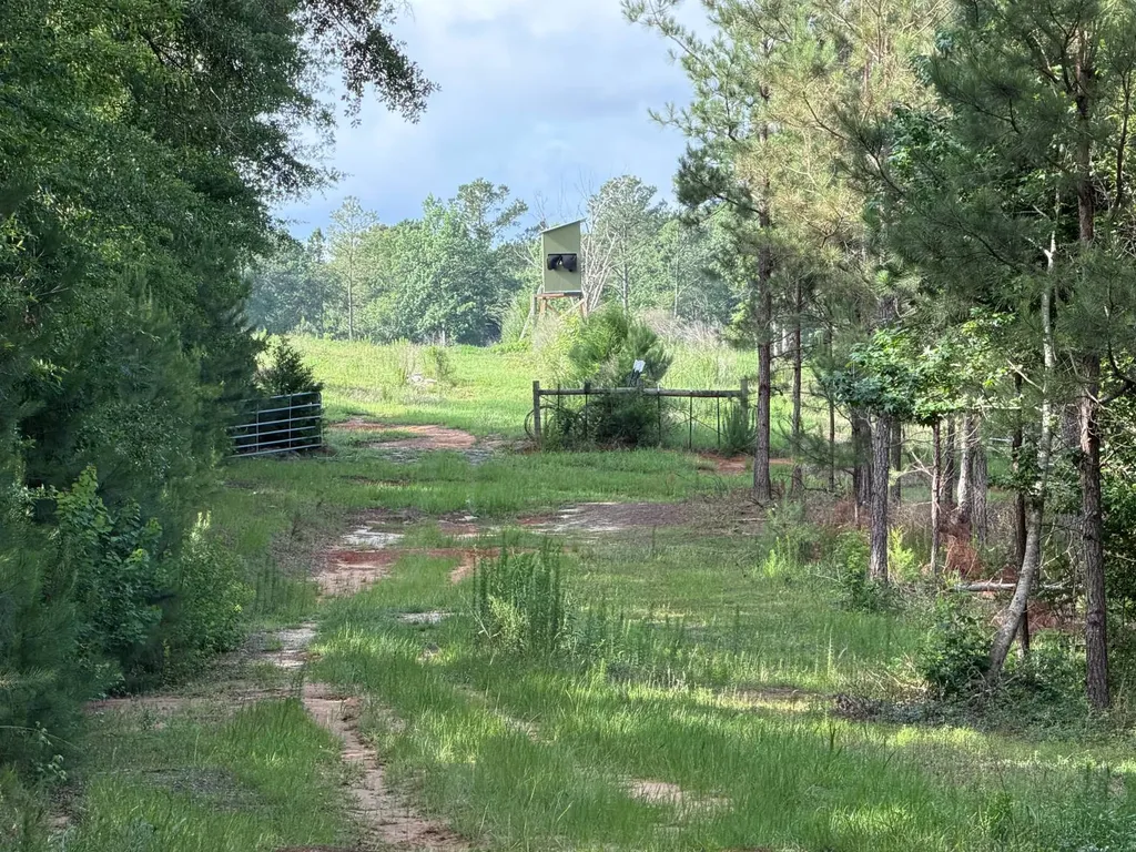 0 E. Dogwood Trail Georgiana AL 36037