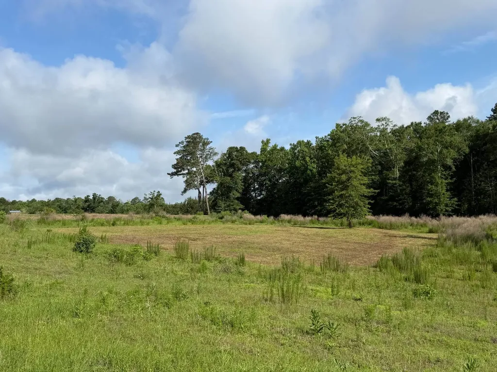 0 E. Dogwood Trail Georgiana AL 36037
