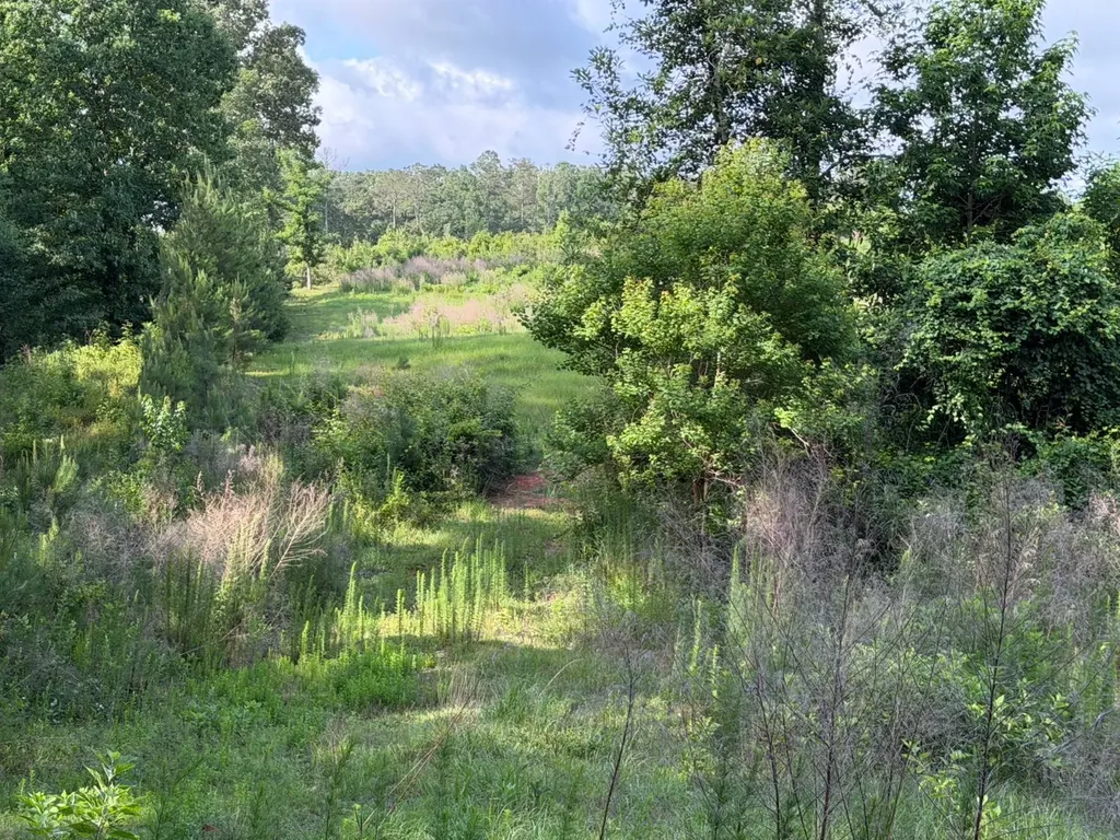 0 E. Dogwood Trail Georgiana AL 36037