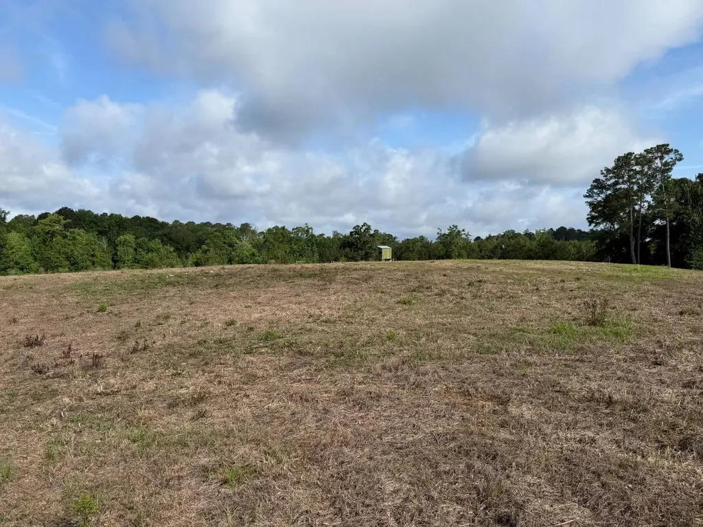 0 E. Dogwood Trail Georgiana AL 36037