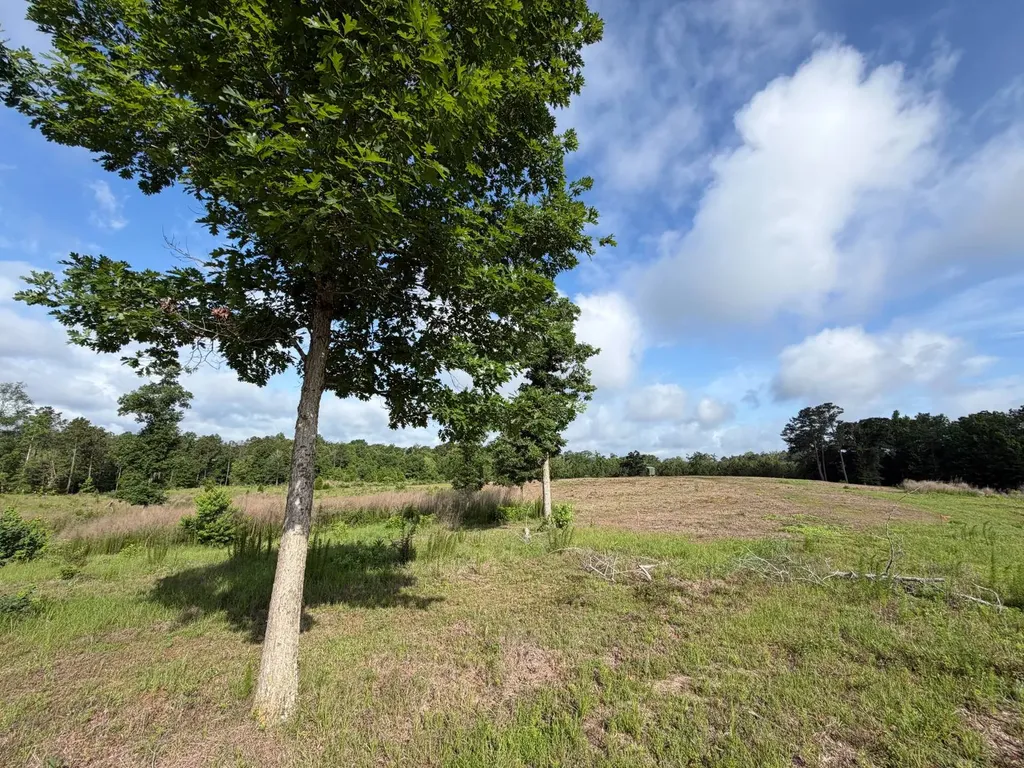 0 E. Dogwood Trail Georgiana AL 36037