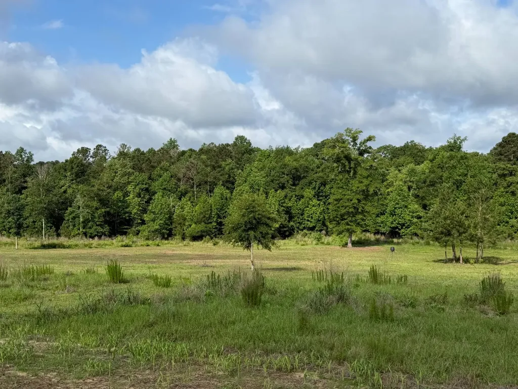 0 E. Dogwood Trail Georgiana AL 36037