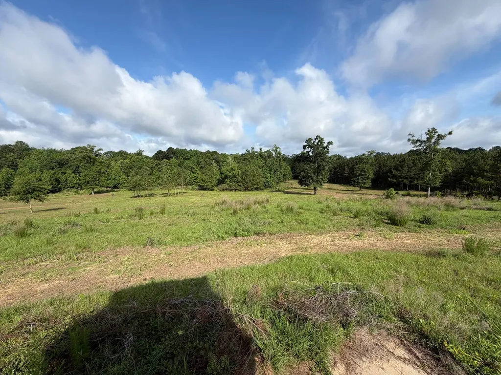 0 E. Dogwood Trail Georgiana AL 36037