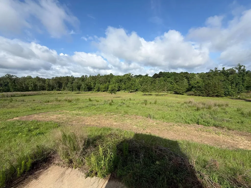 0 E. Dogwood Trail Georgiana AL 36037