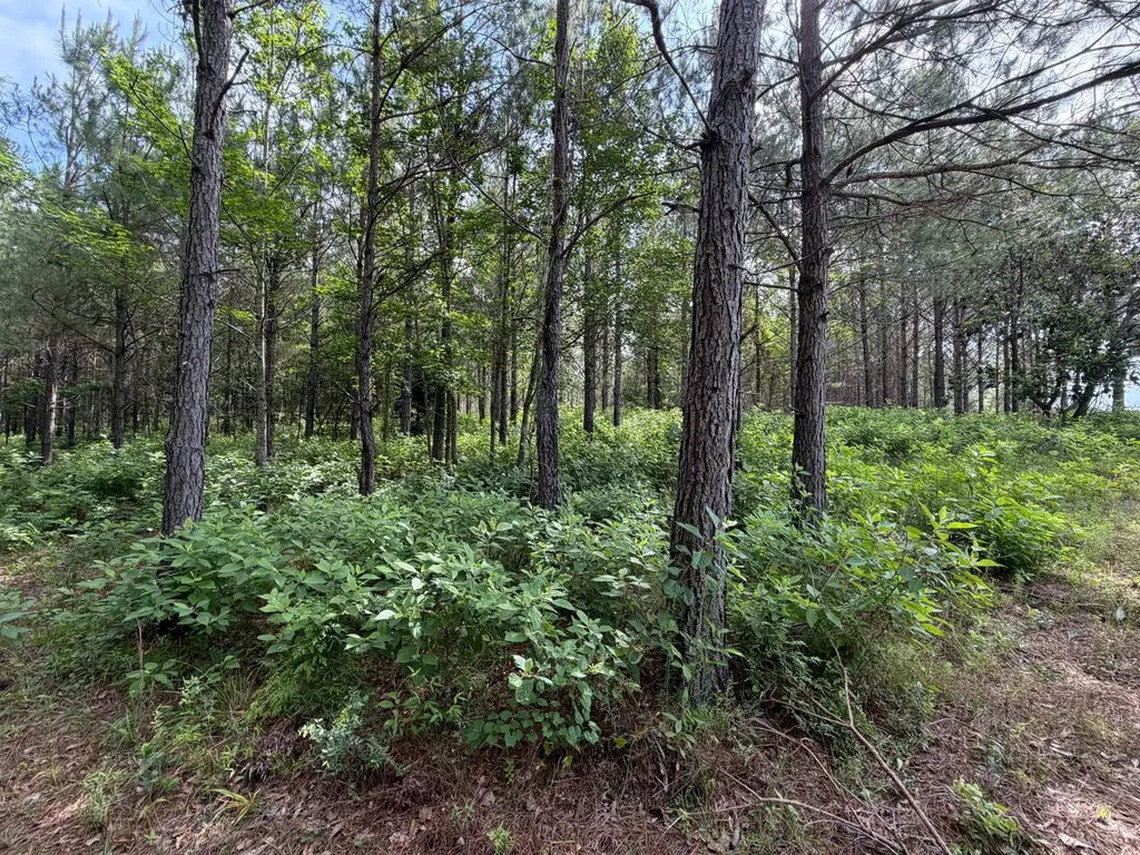 0 E. Dogwood Trail Georgiana AL 36037