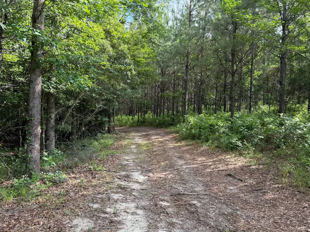 0 E. Dogwood Trail Georgiana AL 36037