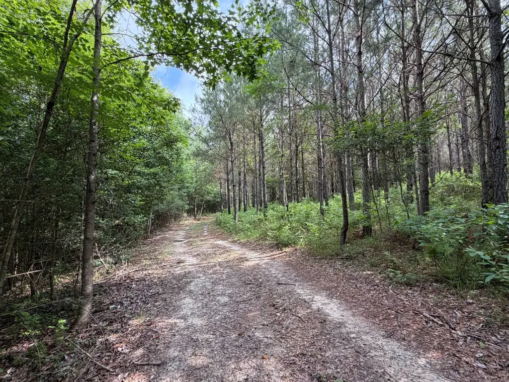 0 E. Dogwood Trail Georgiana AL 36037