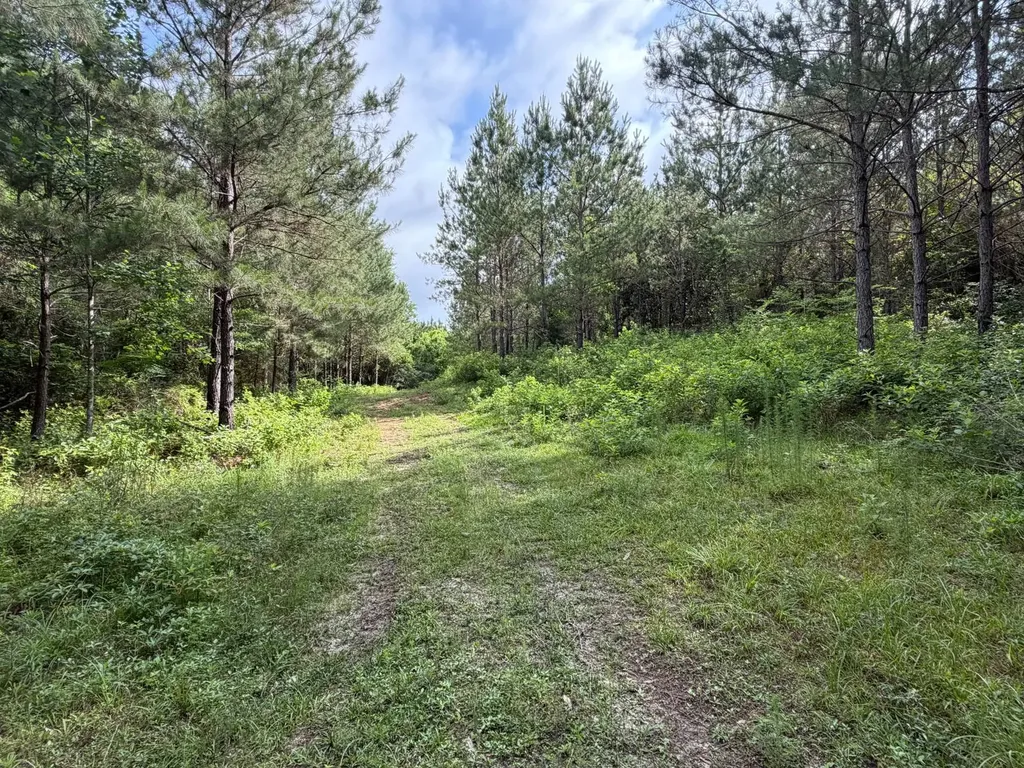 0 E. Dogwood Trail Georgiana AL 36037
