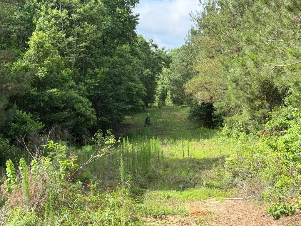 0 E. Dogwood Trail Georgiana AL 36037
