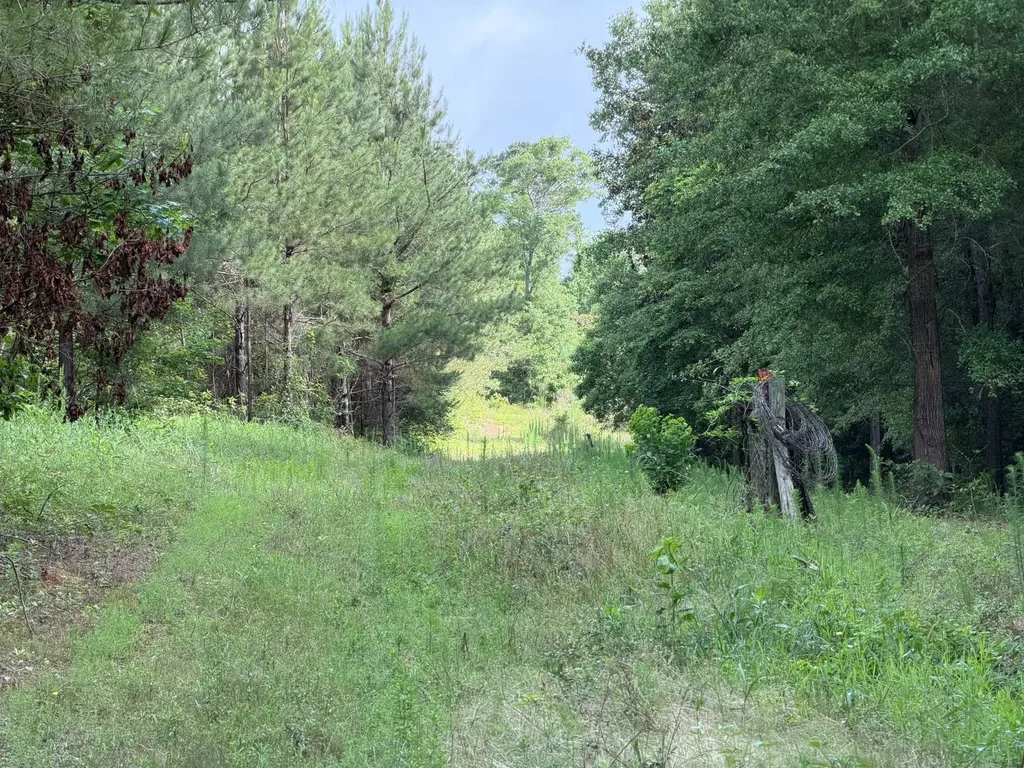 0 E. Dogwood Trail Georgiana AL 36037