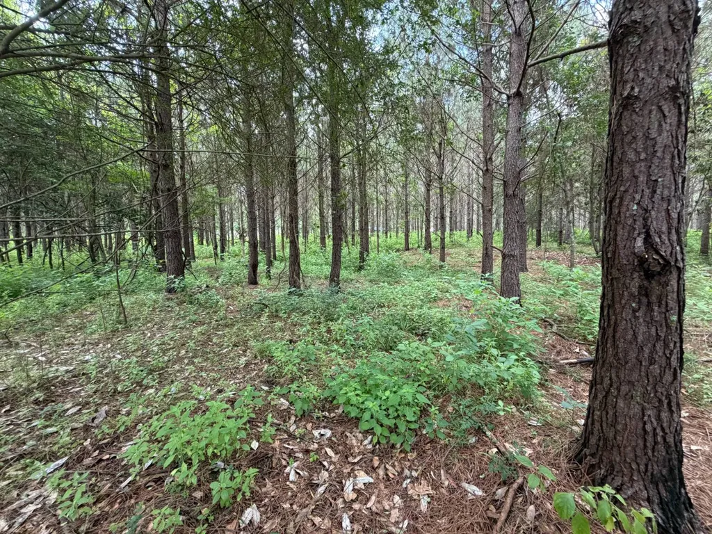 0 E. Dogwood Trail Georgiana AL 36037
