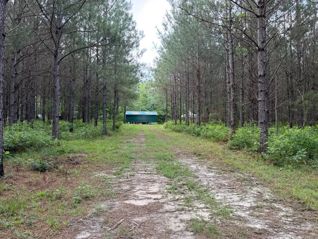 0 E. Dogwood Trail Georgiana AL 36037