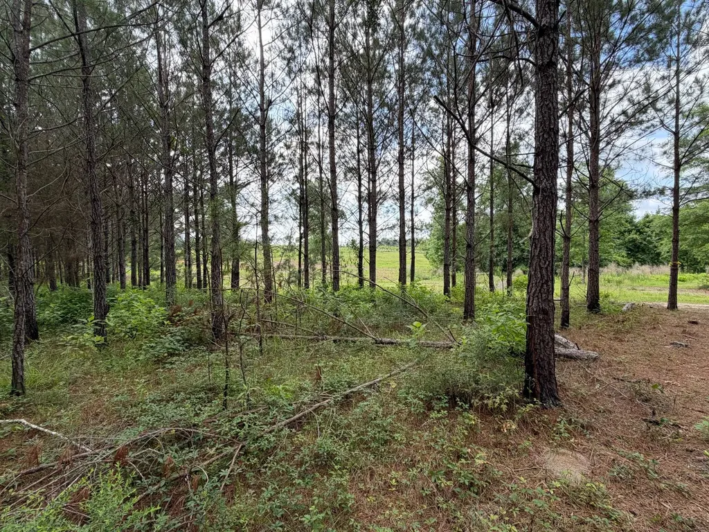 0 E. Dogwood Trail Georgiana AL 36037