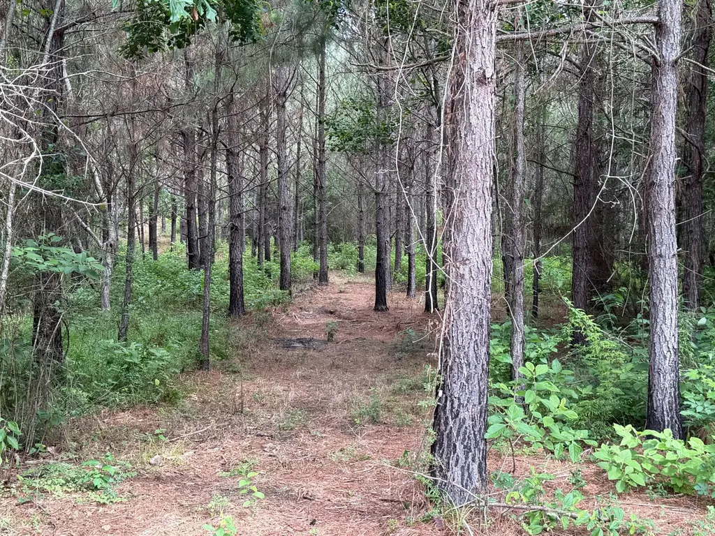 0 E. Dogwood Trail Georgiana AL 36037