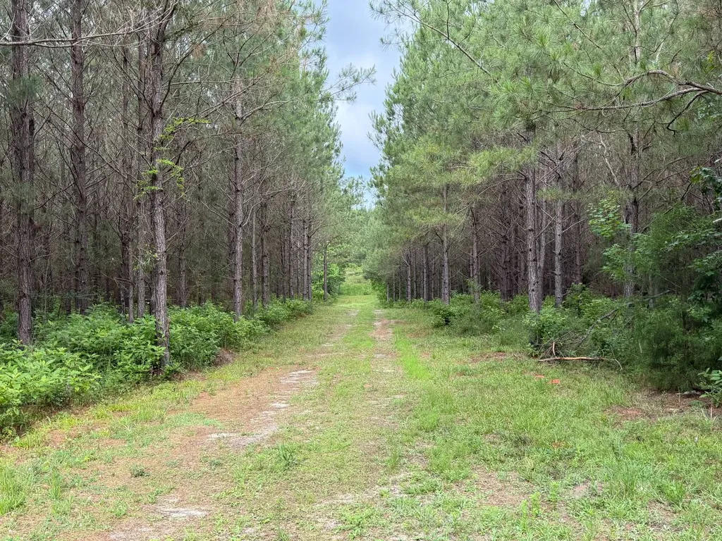 0 E. Dogwood Trail Georgiana AL 36037