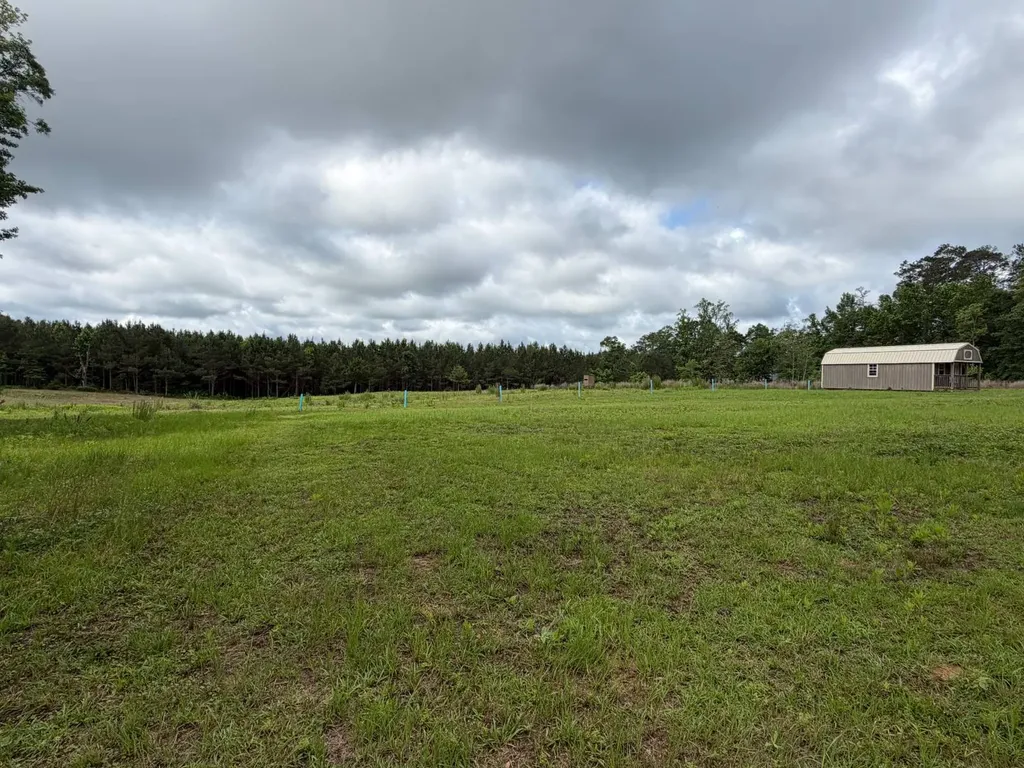 0 E. Dogwood Trail Georgiana AL 36037