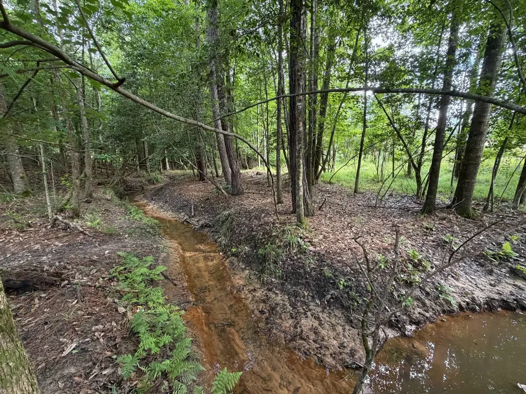 0 E. Dogwood Trail Georgiana AL 36037