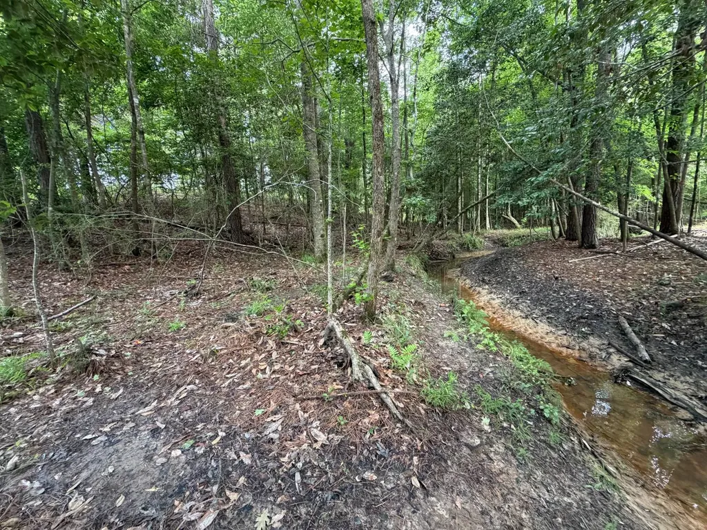 0 E. Dogwood Trail Georgiana AL 36037