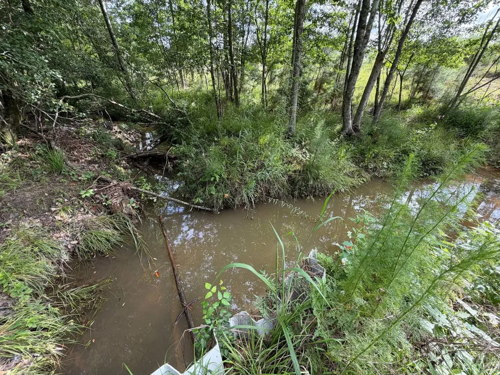 0 E. Dogwood Trail Georgiana AL 36037
