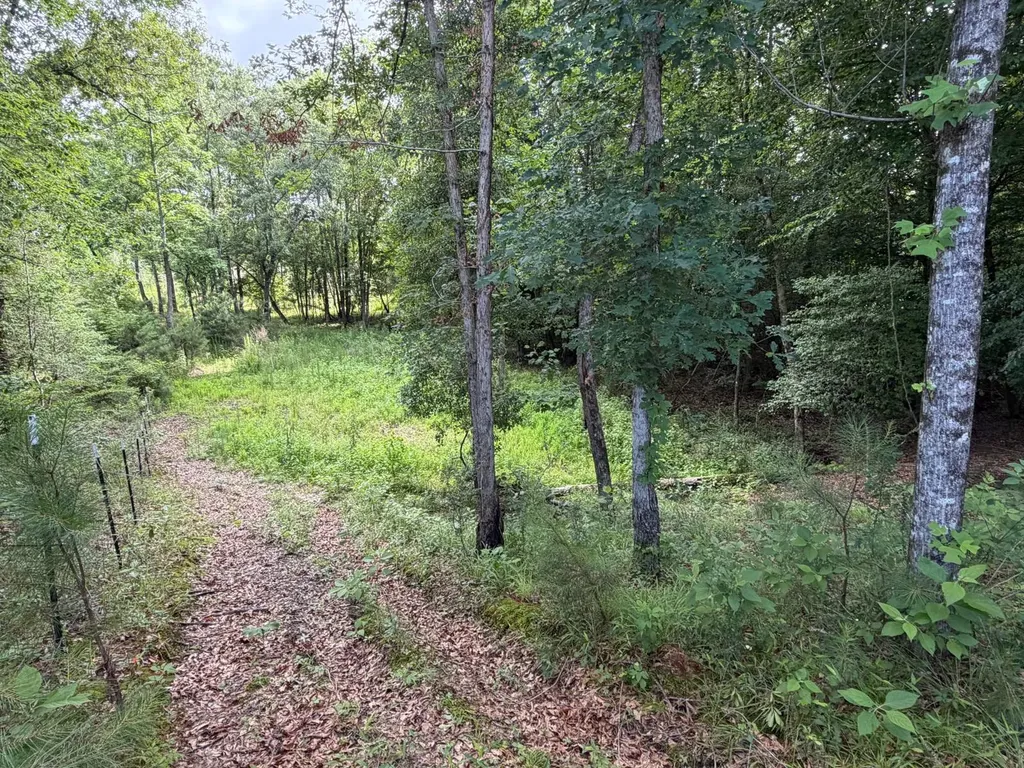 0 E. Dogwood Trail Georgiana AL 36037