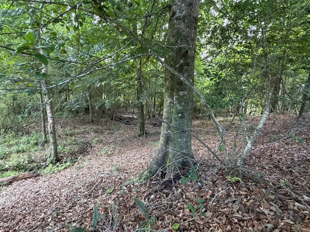0 E. Dogwood Trail Georgiana AL 36037