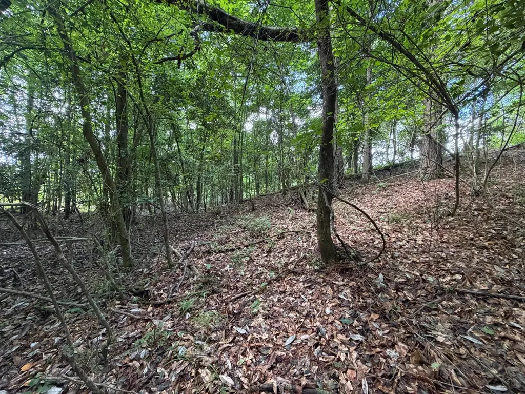 0 E. Dogwood Trail Georgiana AL 36037