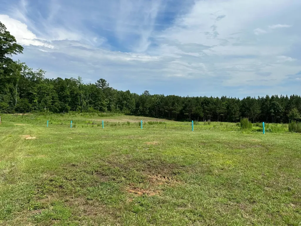0 E. Dogwood Trail Georgiana AL 36037