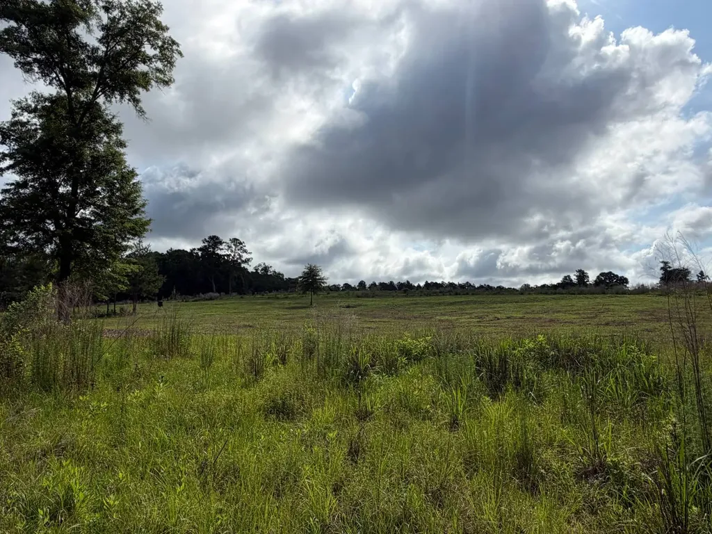0 E. Dogwood Trail Georgiana AL 36037