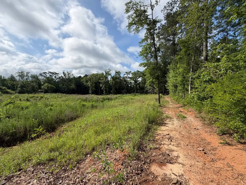 0 E. Dogwood Trail Georgiana AL 36037