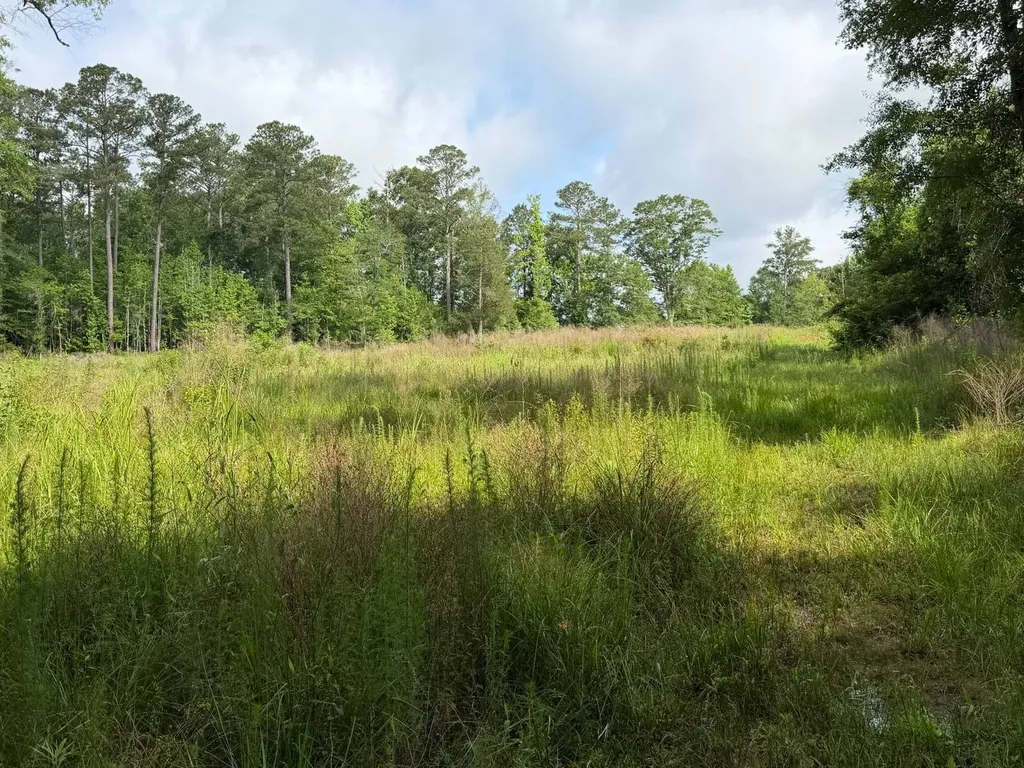 0 E. Dogwood Trail Georgiana AL 36037