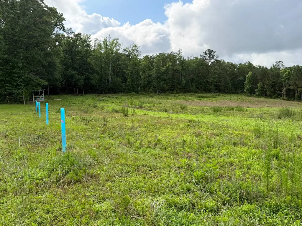 0 E. Dogwood Trail Georgiana AL 36037