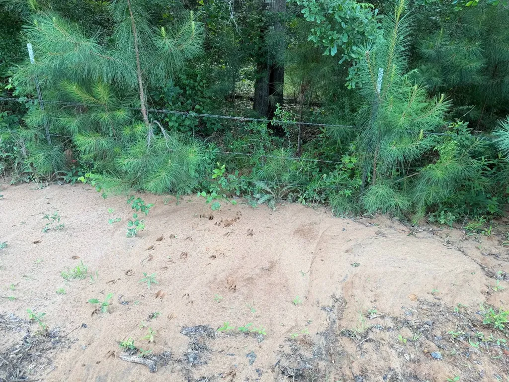 0 E. Dogwood Trail Georgiana AL 36037