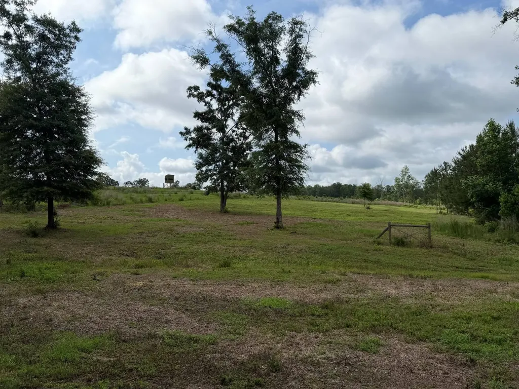 0 E. Dogwood Trail Georgiana AL 36037