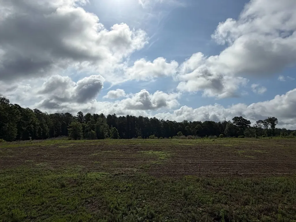 0 E. Dogwood Trail Georgiana AL 36037