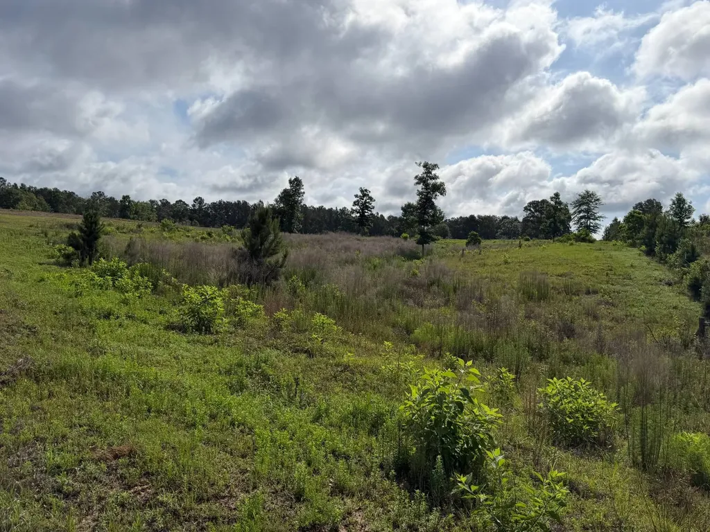0 E. Dogwood Trail Georgiana AL 36037
