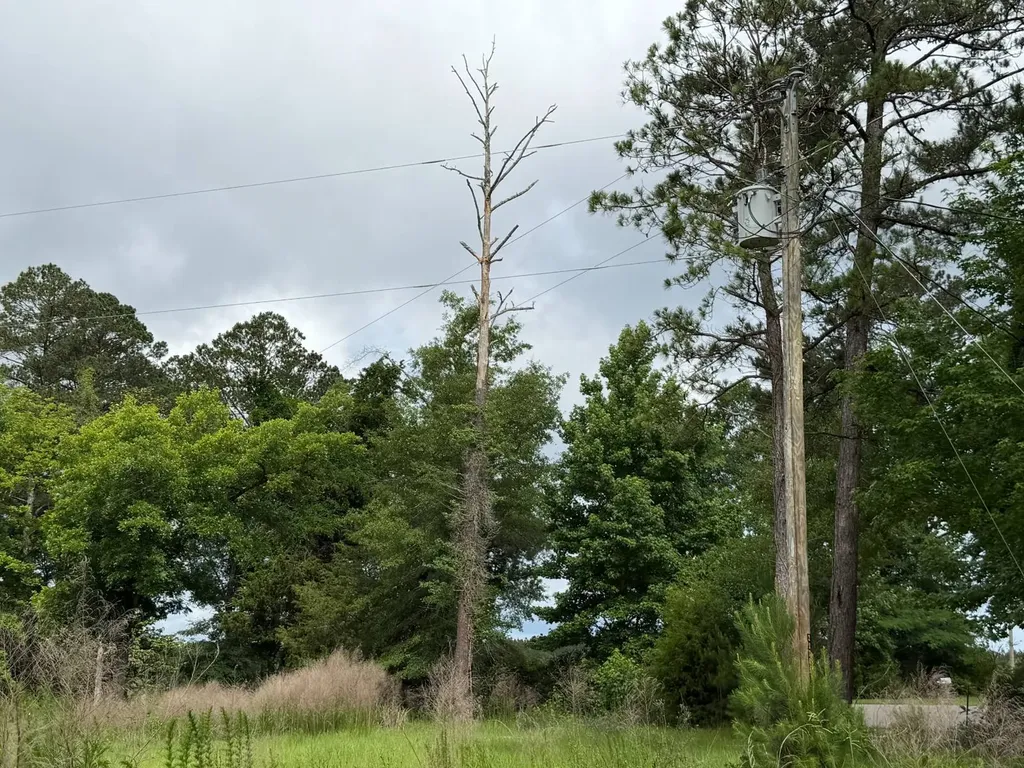 0 E. Dogwood Trail Georgiana AL 36037