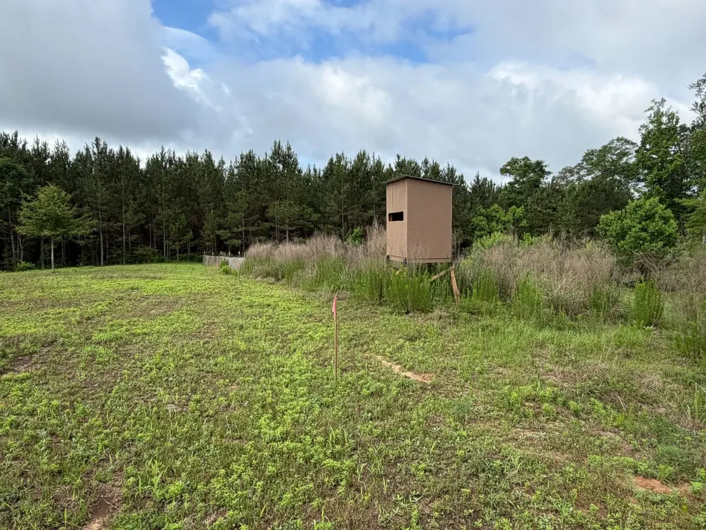 0 E. Dogwood Trail Georgiana AL 36037