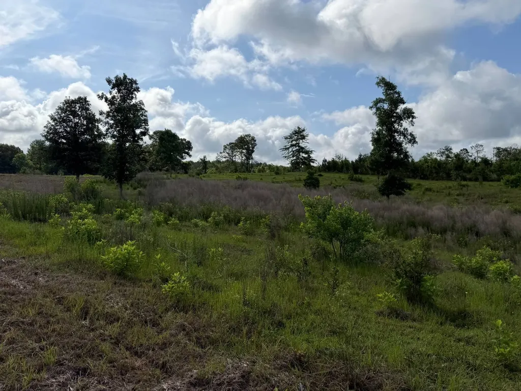 0 E. Dogwood Trail Georgiana AL 36037