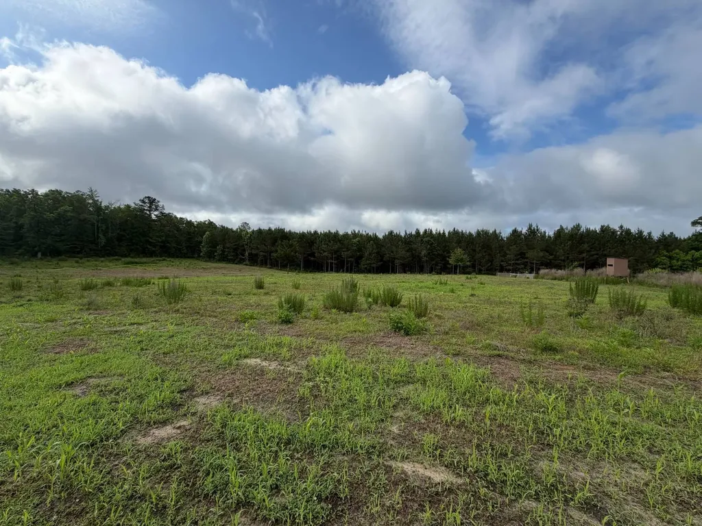 0 E. Dogwood Trail Georgiana AL 36037