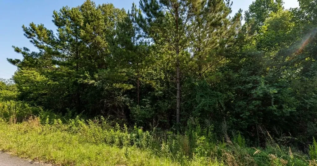 0 County Road 367 Crane Hill AL 35053