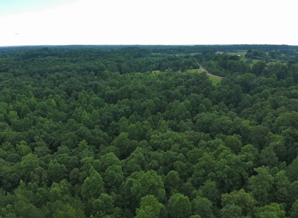 0 County Road 367 Crane Hill AL 35053