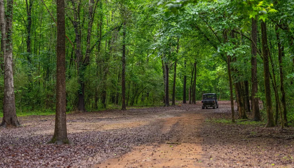 0 Cutoff Road Moundville AL 35474