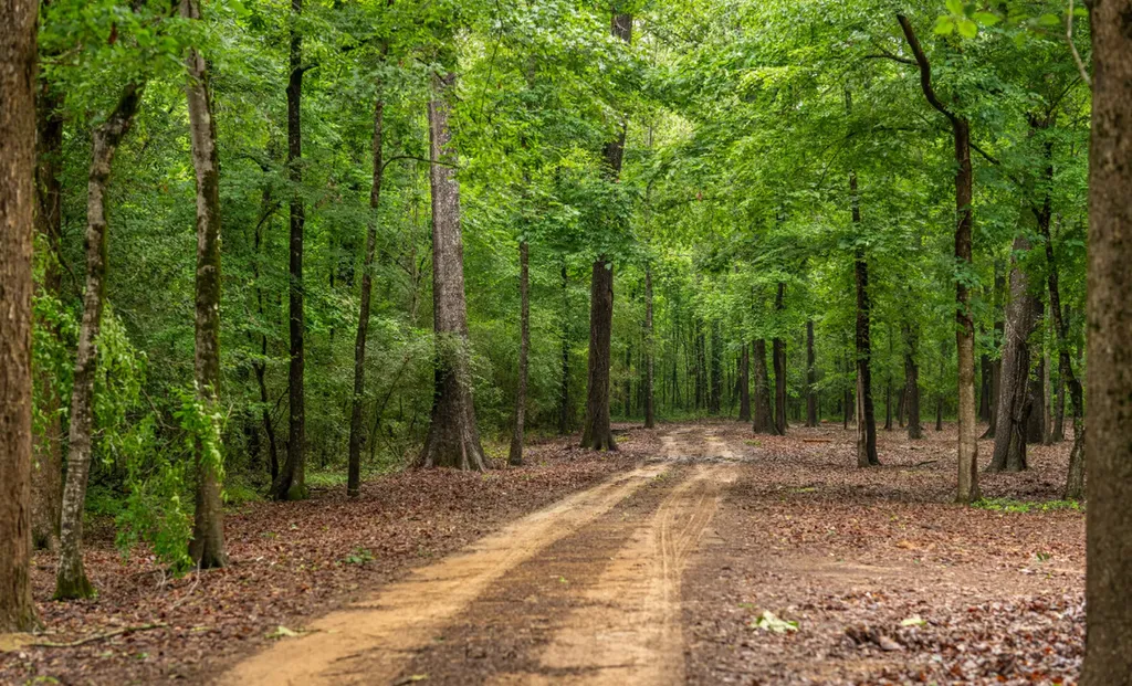0 Cutoff Road Moundville AL 35474