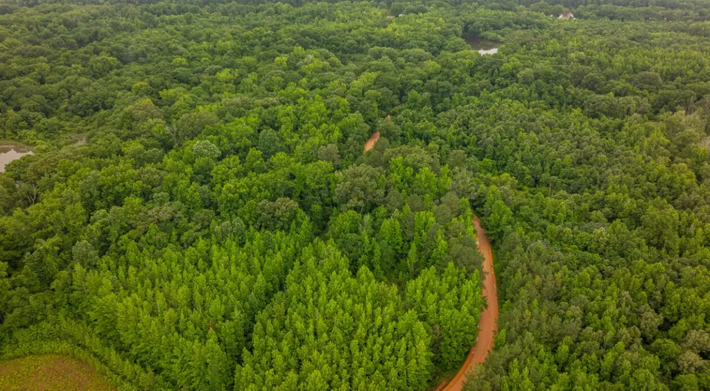 0 Cutoff Road Moundville AL 35474