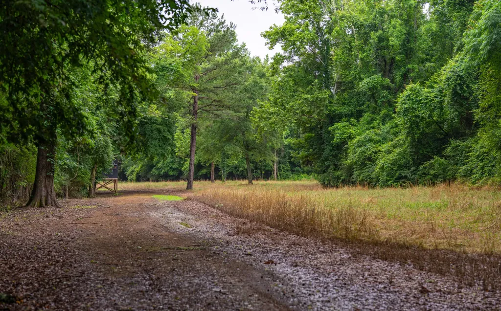 0 Cutoff Road Moundville AL 35474